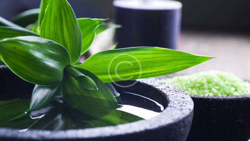 Young eco cosmetics brands who deserve your attention 2 Aspire UK post14 copyright Aspire UK